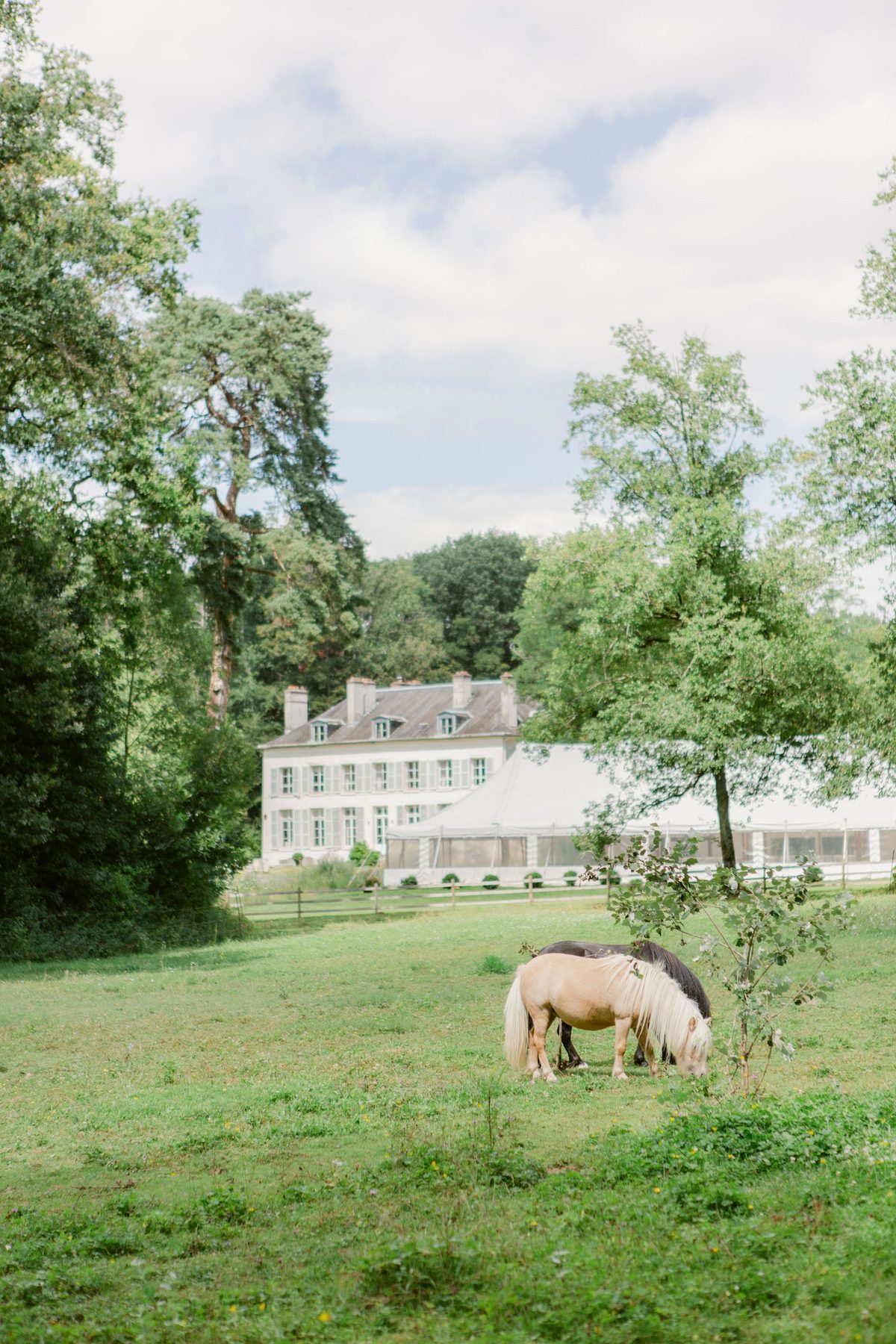 Un cheval au pré devant le Château de Séréville, avec la ferme du domaine